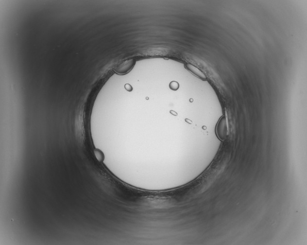 X0000101690300200807311417