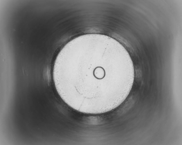 X0000101690302200807311417