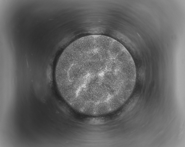 X0000101690303200807311417