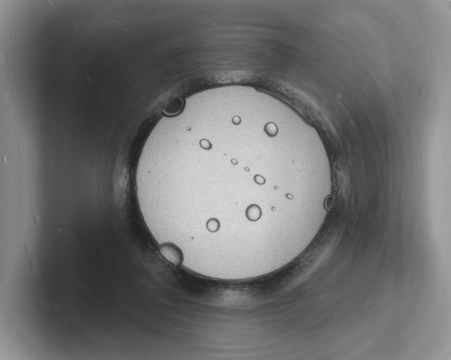 X0000101690308200807311417