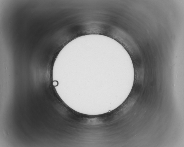 X0000101690309200807311417