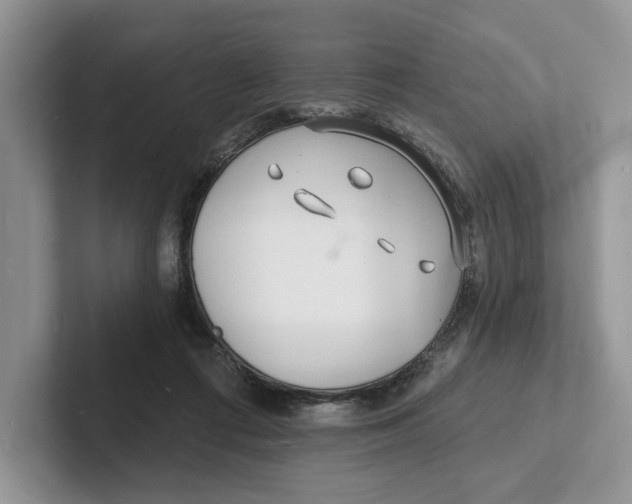 X0000101690312200807311417