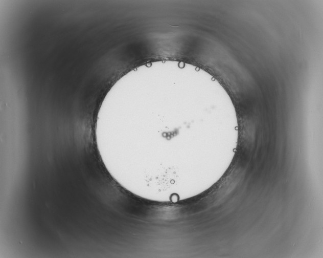 X0000101690313200807311417