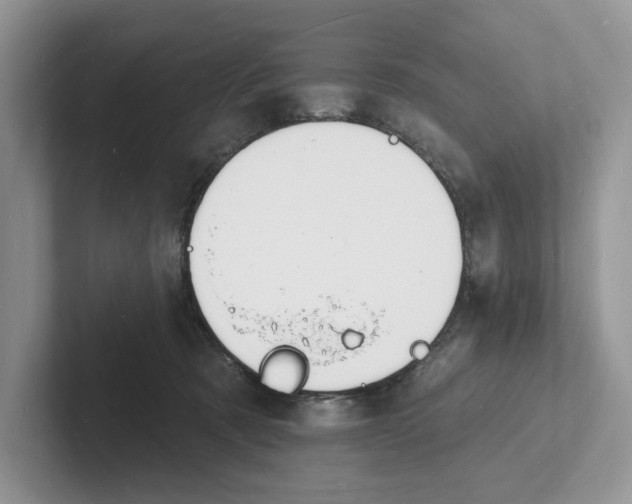 X0000101690321200807311417