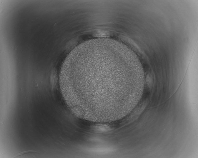 X0000101690322200807311417