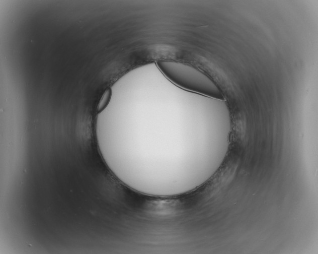 X0000101690323200807311417