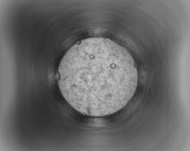 X0000101690324200807311417