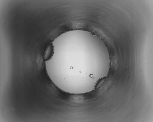 X0000101690327200807311417