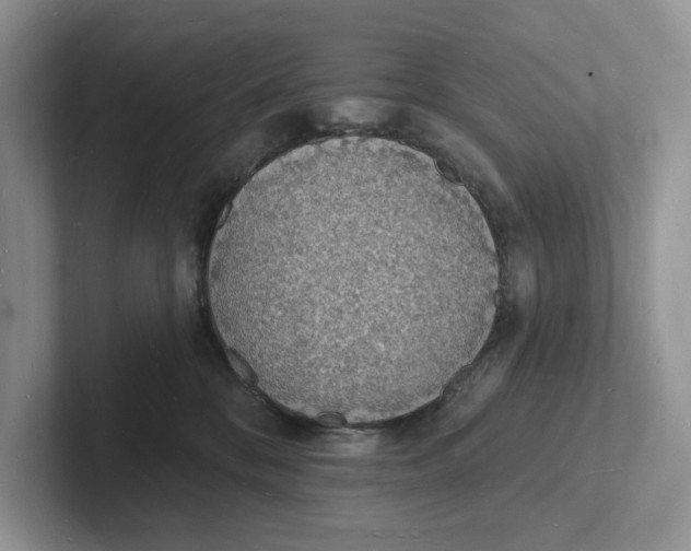 X0000101690328200807311417