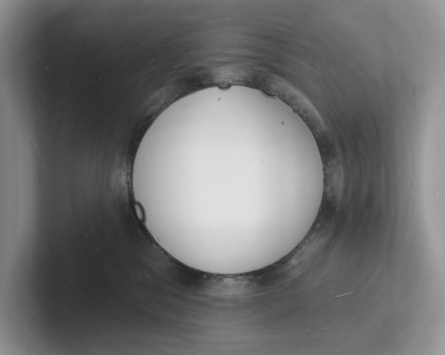 X0000101690329200807311417