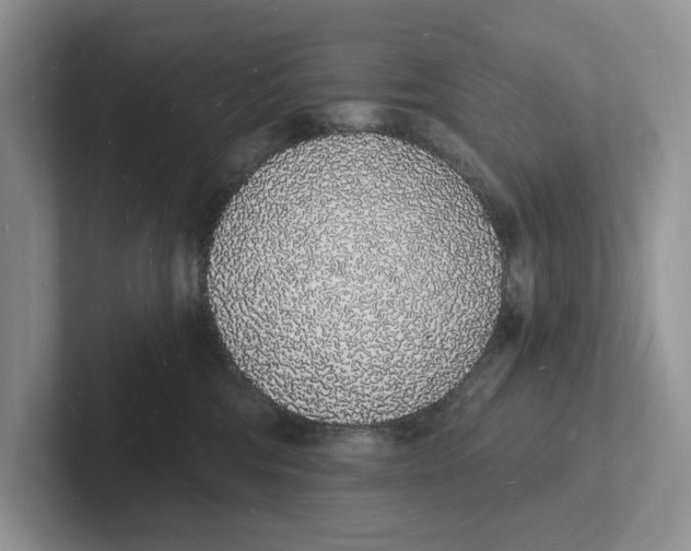 X0000101690330200807311417