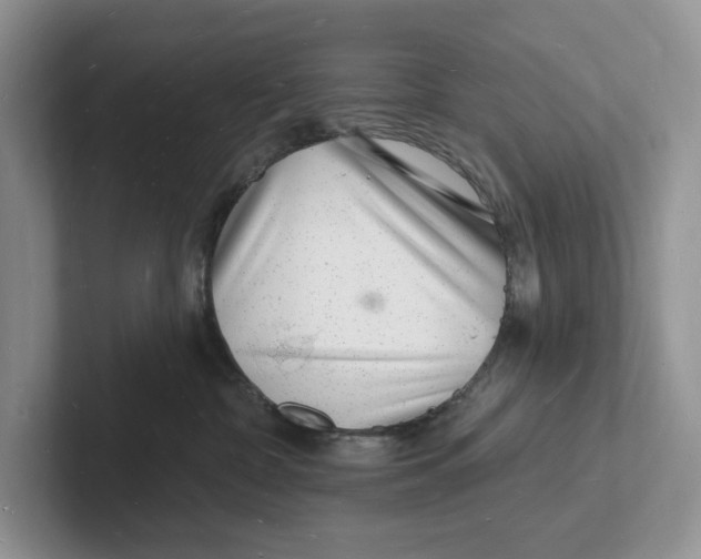 X0000101690332200807311417