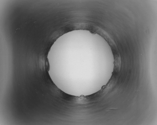 X0000101690333200807311417