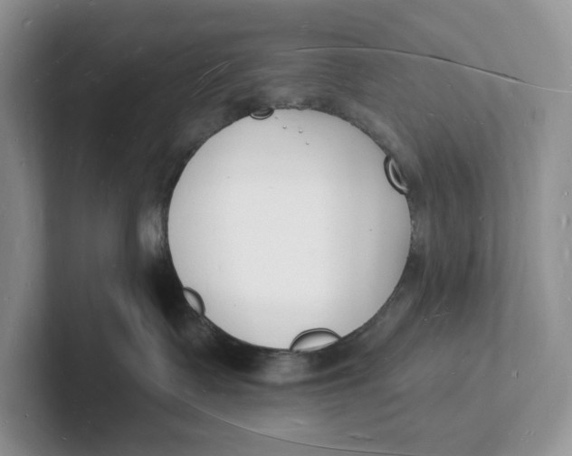 X0000101690335200807311417