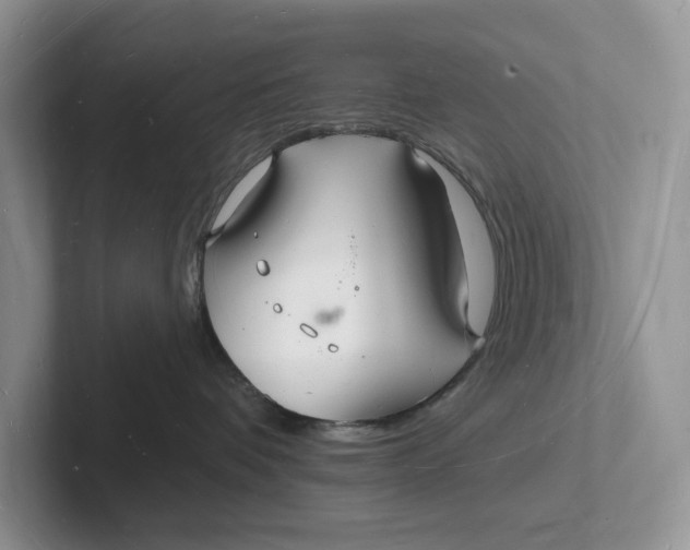 X0000101690336200807311417