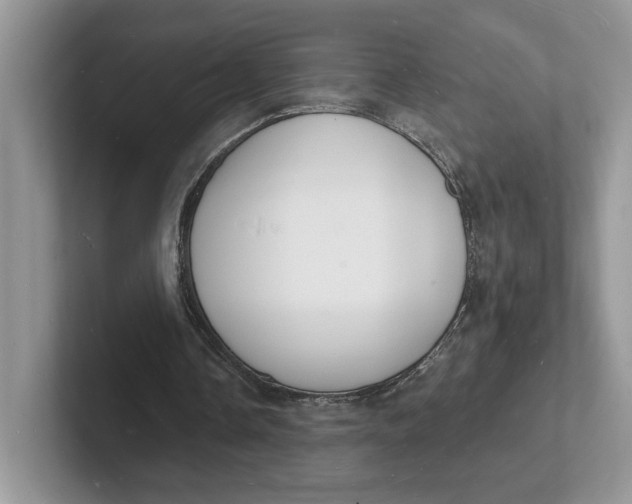 X0000101690338200807311416