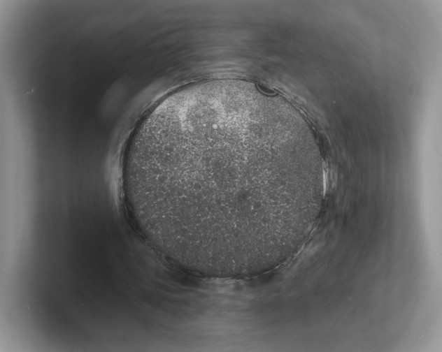 X0000101690339200807311416