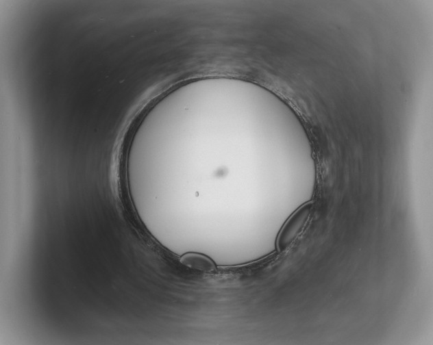 X0000101690340200807311416