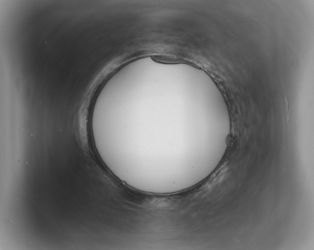 X0000101690341200807311416