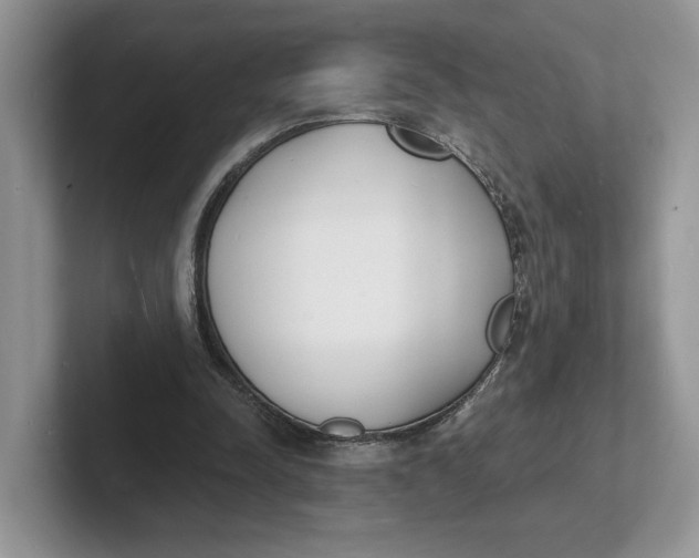 X0000101690342200807311416