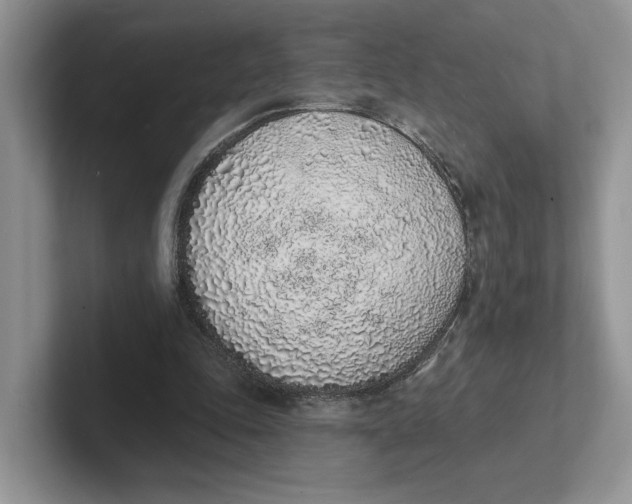 X0000101690343200807311416