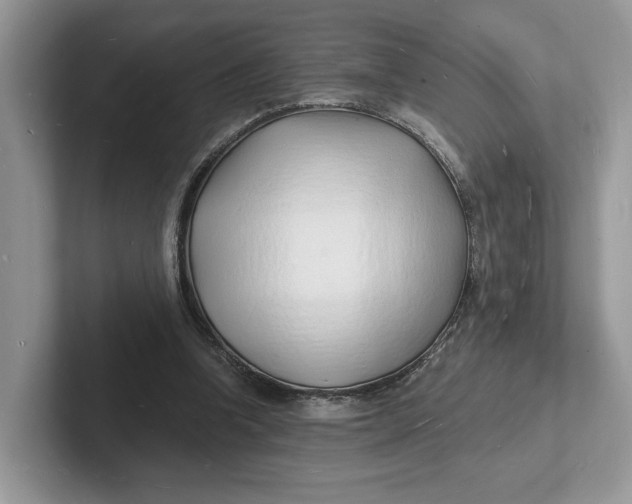 X0000101690346200807311416