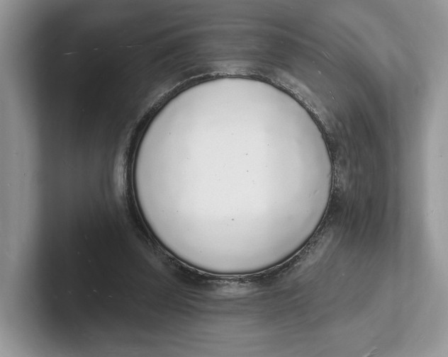 X0000101690347200807311416