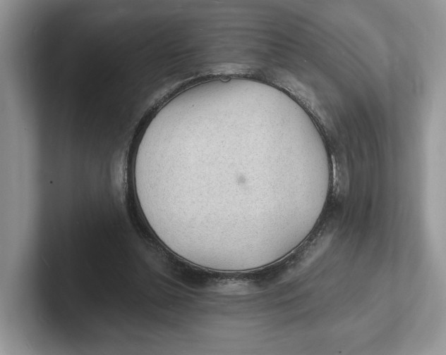 X0000101690348200807311416