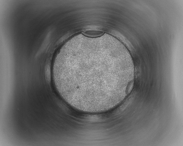 X0000101690349200807311416