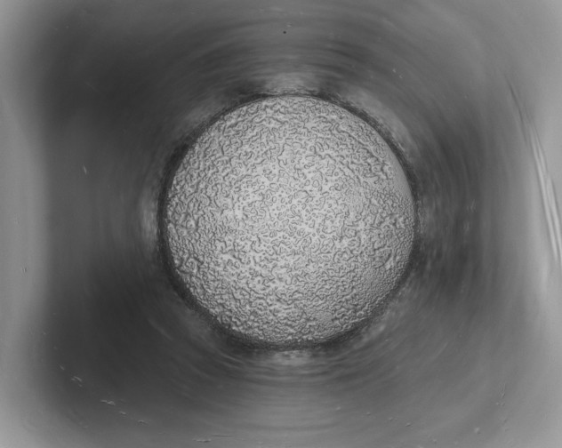 X0000101690353200807311416