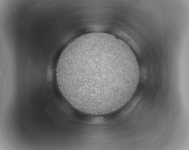 X0000101690355200807311416