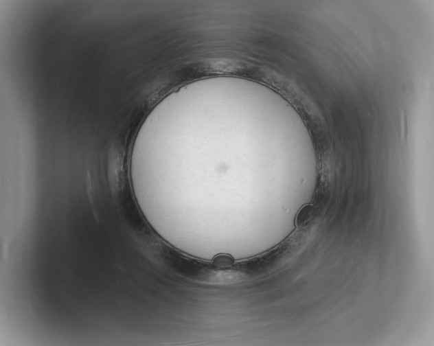 X0000101690360200807311416