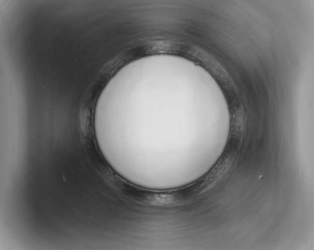 X0000101690361200807311416