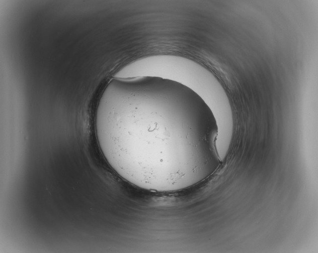 X0000101690362200807311416