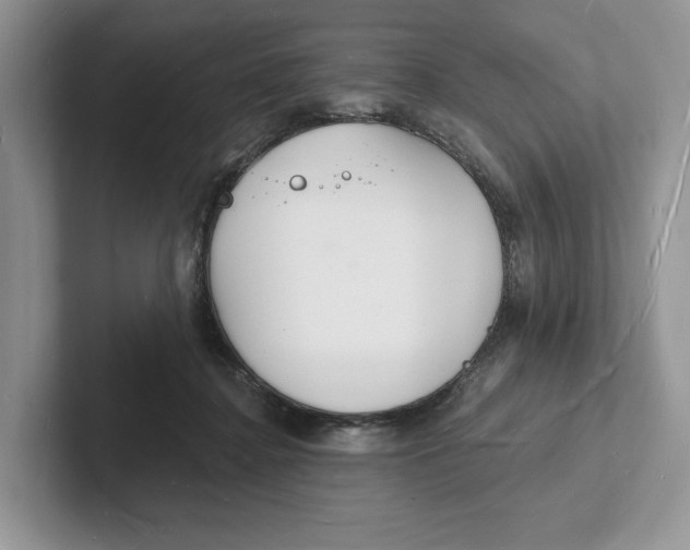 X0000101690364200807311416