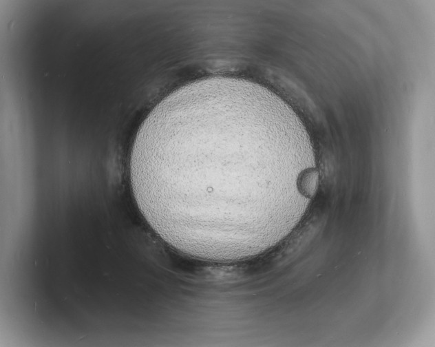 X0000101690367200807311416