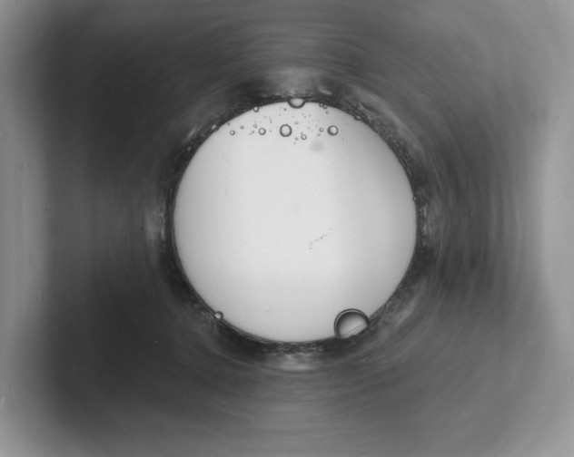 X0000101690368200807311416