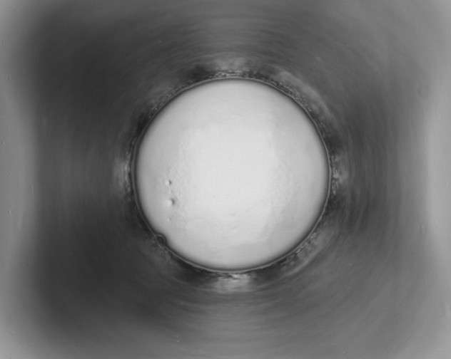 X0000101690369200807311416