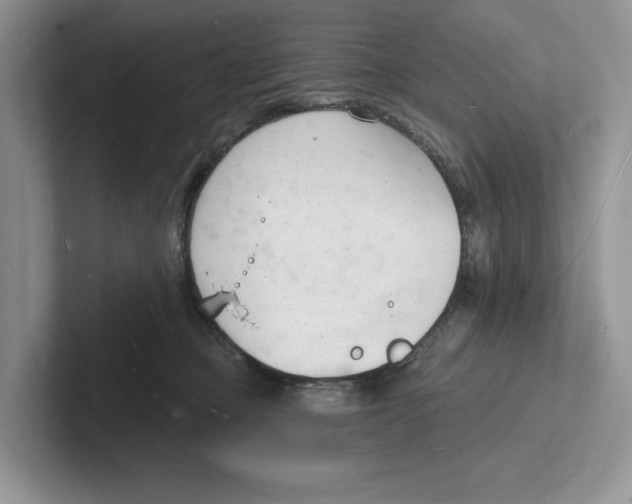 X0000101690373200807311417