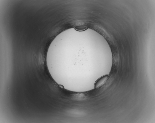 X0000101690374200807311417