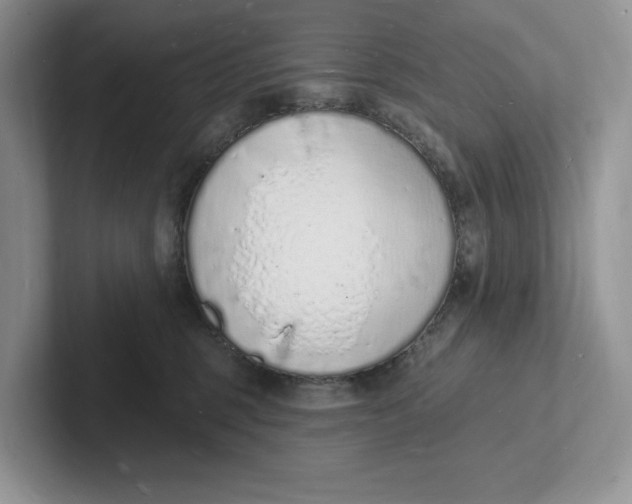 X0000101690375200807311417