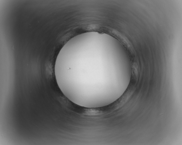 X0000101690380200807311417