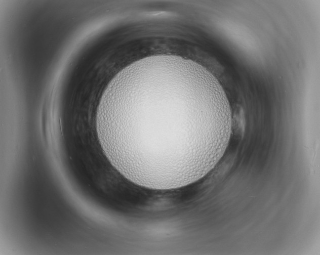 X0000101690381200807311417