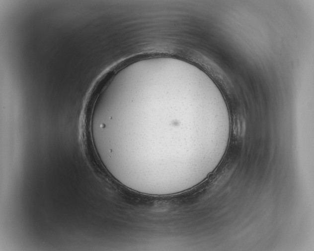 X0000101690388200807311416