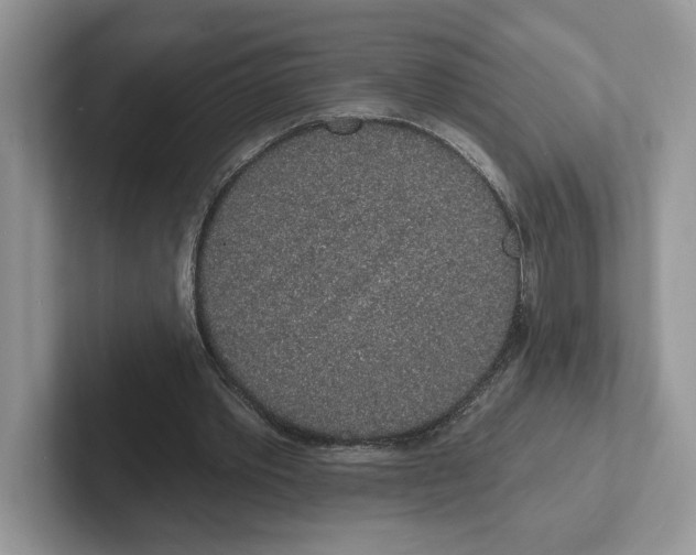 X0000101690389200807311416