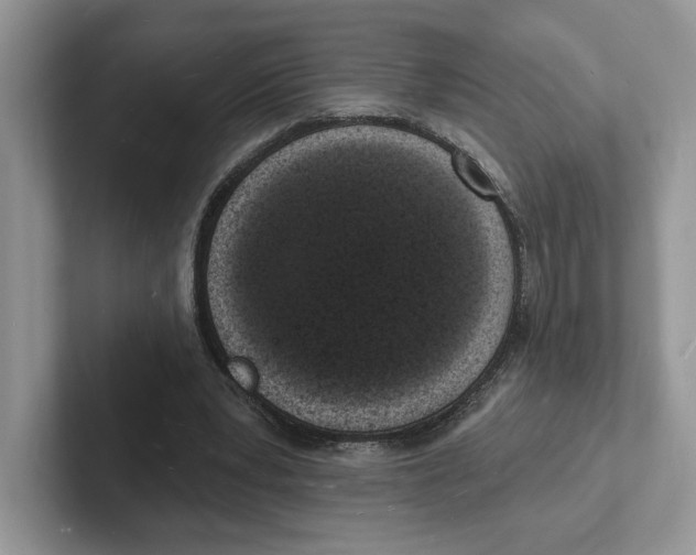 X0000101690391200807311416