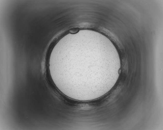 X0000101690392200807311416