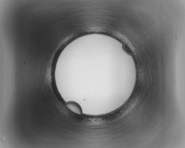 X0000101690395200807311416