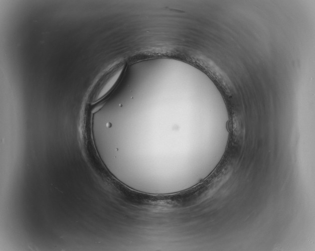 X0000101690396200807311416