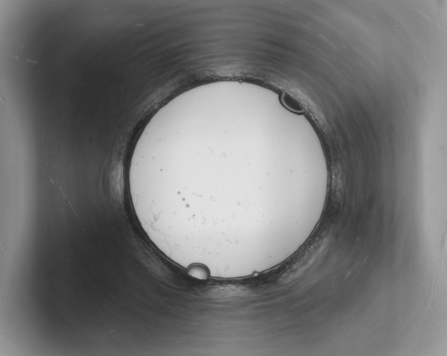 X0000101690397200807311416